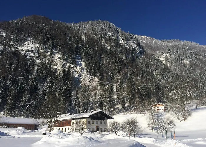 Alpaka-hof Landinger * Aschau im Chiemgau