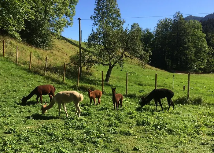 Alpaka-hof Landinger