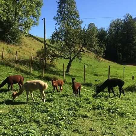 Alpaka-hof Landinger
