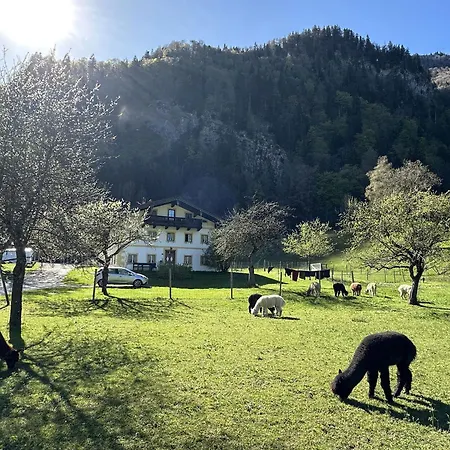 Apartment Alpaka-hof Landinger Aschau im Chiemgau