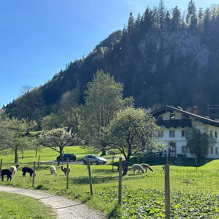Alpaka-hof Landinger