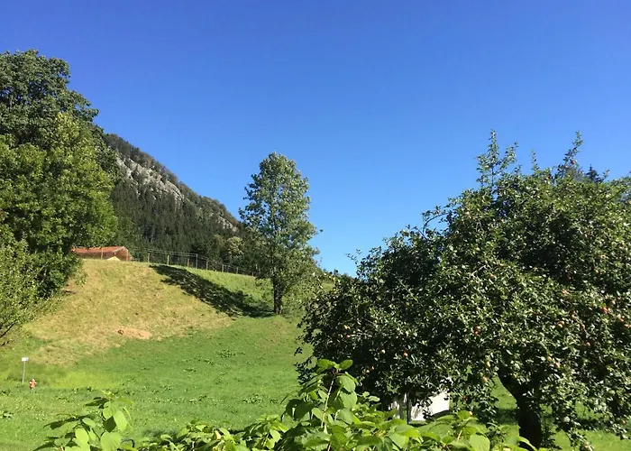 Alpaka-hof Landinger *